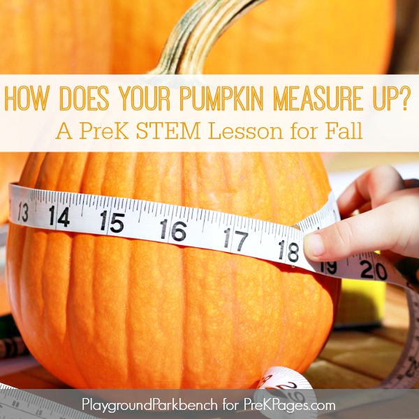 pumpkin measurement activity