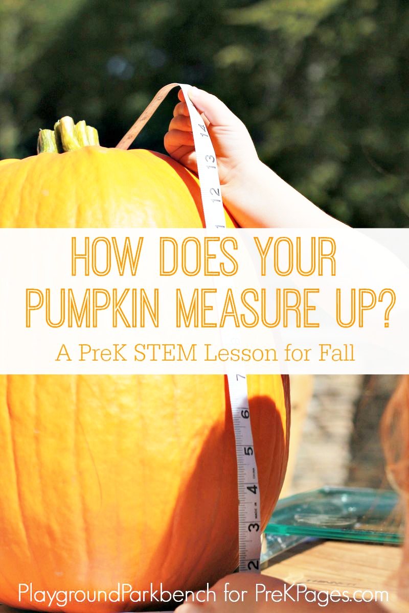 pumpkin measurement for preschool