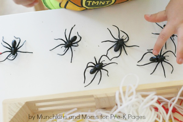 Scientist uses tiny trackers to keep tabs on funnel-web spiders