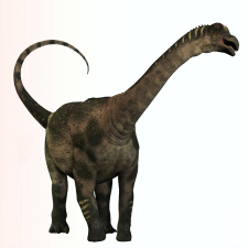 Dinosaur category