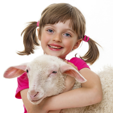 Nursery Rhymes at Pre-K Pages