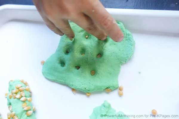 planting corn in play dough