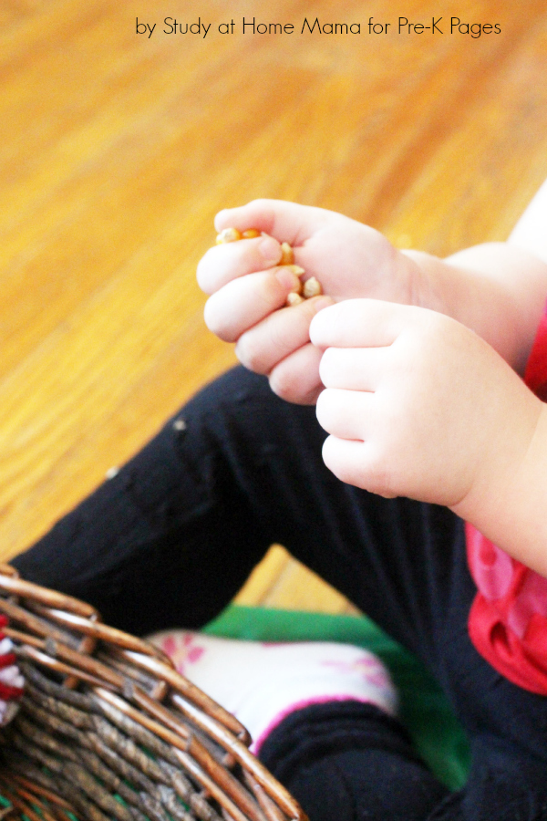 sensory bin counting corn
