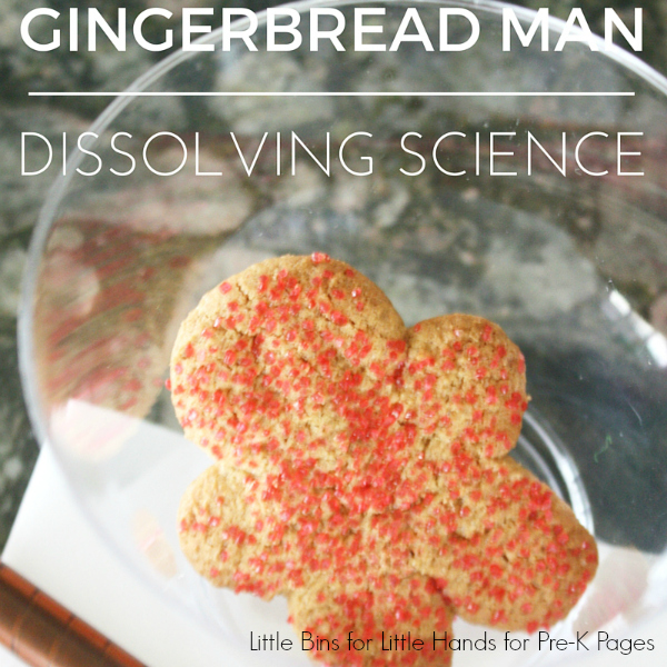 Dissolving Gingerbread Man Science Activity for preschool