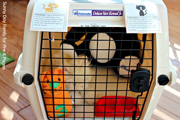 dramatic play animal shelter cat area