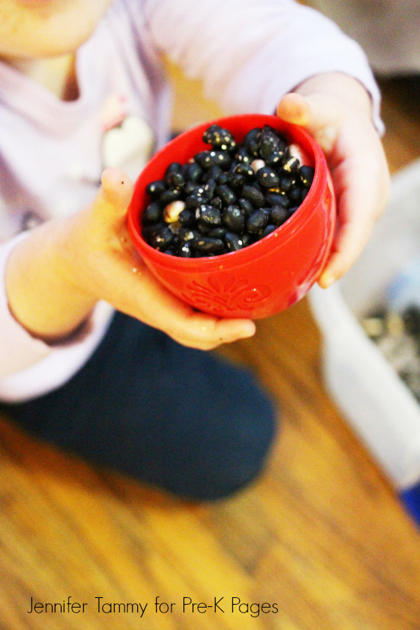 construction sensory bin filler of black beans