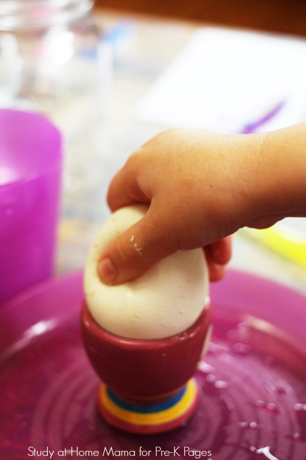 squeezing egg for teeth experiment