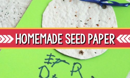 How to Make Plantable Seed Paper - Blog
