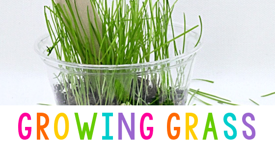 growing grass