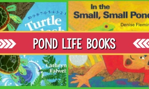 Books About Ponds for Preschoolers