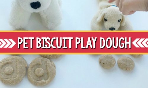 Pet Biscuit Play Dough Activity