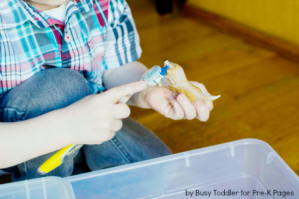 cleaning the toy pet with a toothbrush