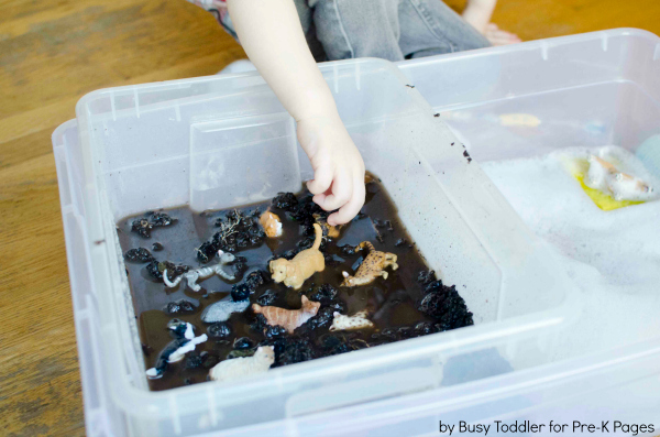 pet sensory bin of dirty water with toy pets