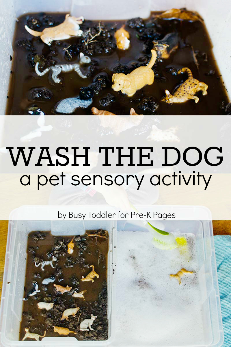 pet theme sensory play for preschool