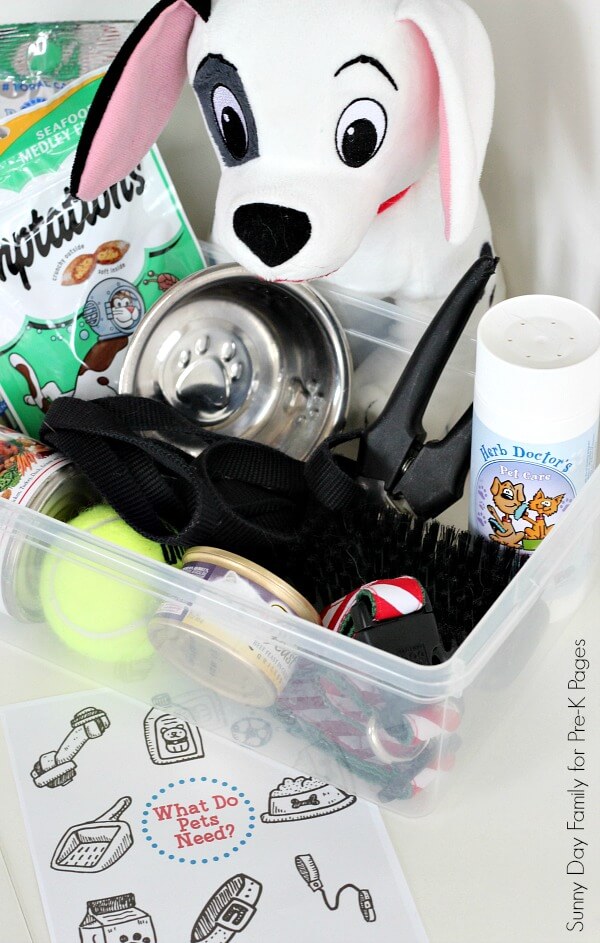 pet supplies in box for preschool game