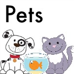 Pets Theme for Preschool