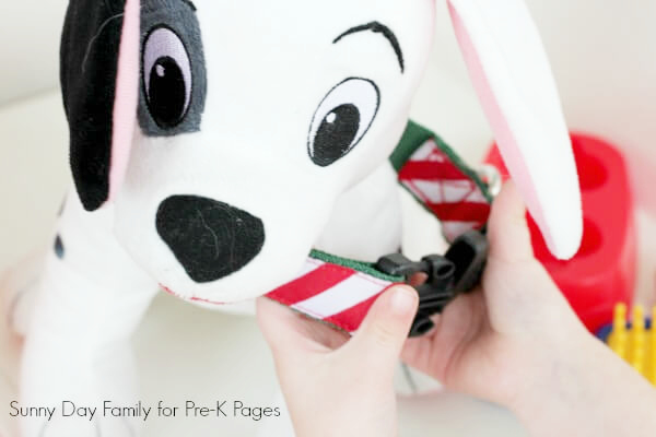 putting on dog collar pet care preschool