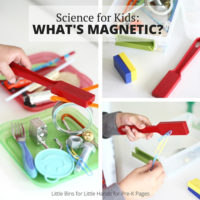 Science for Kids: Exploring Magnets - Pre-K Pages