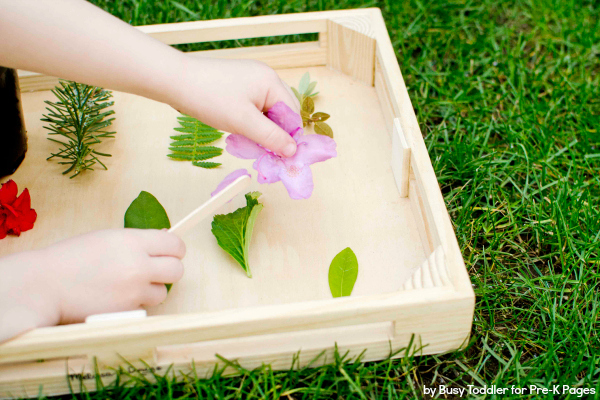 Homemade Nature Matching Game
