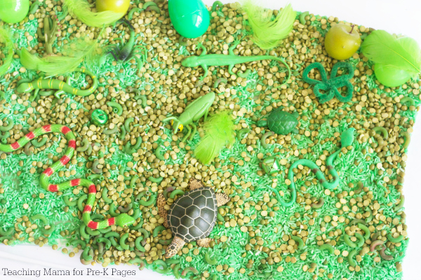 one color sensory bin