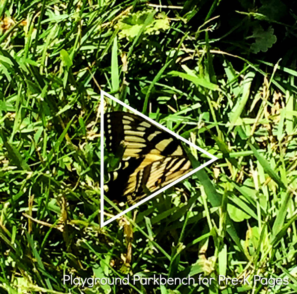 nature shape hunt butterfly