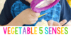Science for Kids: Exploring Vegetables with the Senses - Pre-K Pages