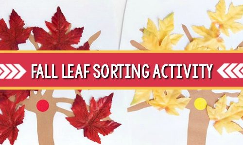 Activité de tri des feuilles d'automne