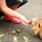 Feed the Squirrel Fall Counting Game - Pre-K Pages