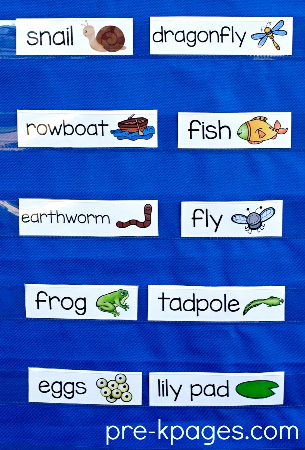Pond Theme Activities - Pre-K Pages