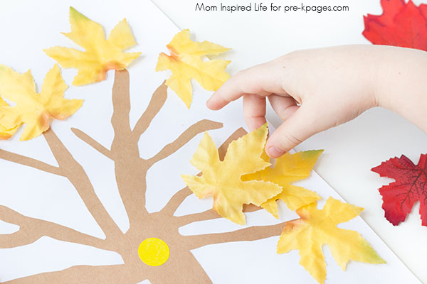 trees leaves fall math activity