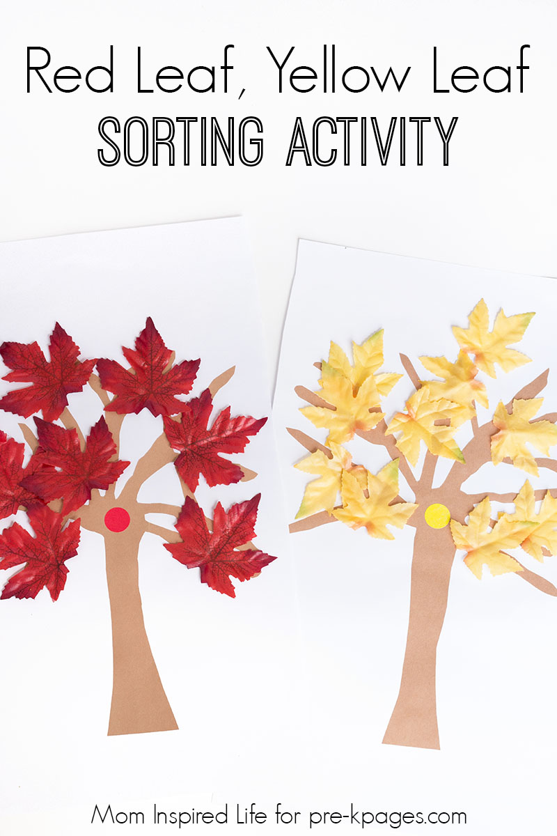 Pin on Sorting Activities