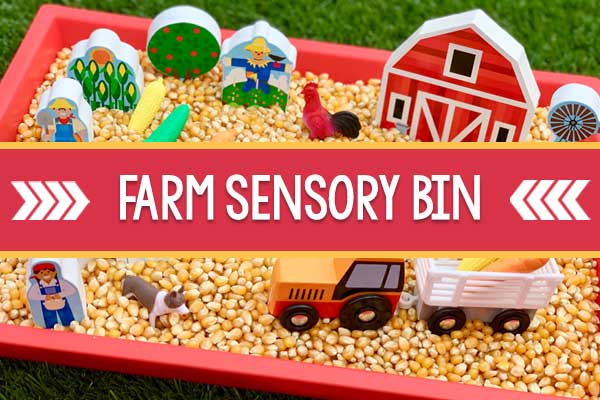 Farm animal sensory bin