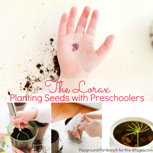 planting seeds preschool the lorax