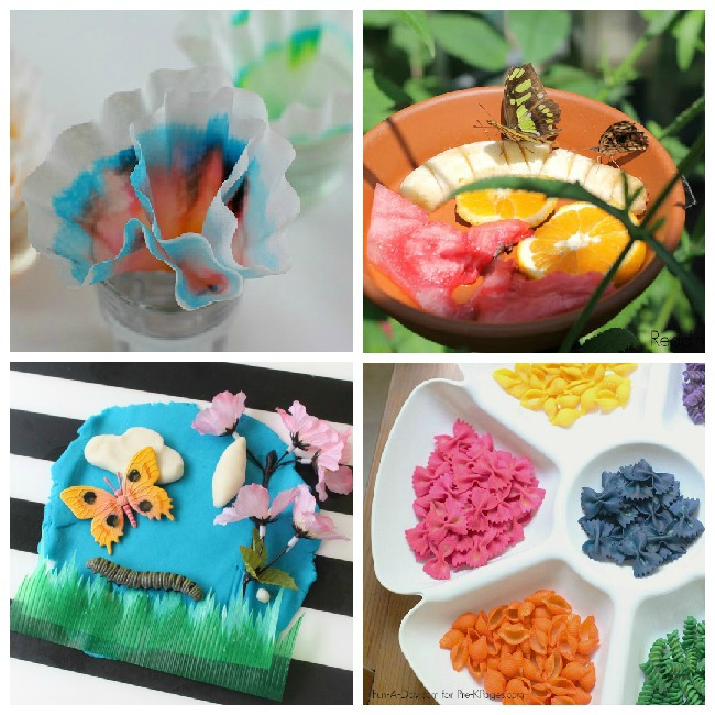 Butterfly Theme Activities for Preschoolers