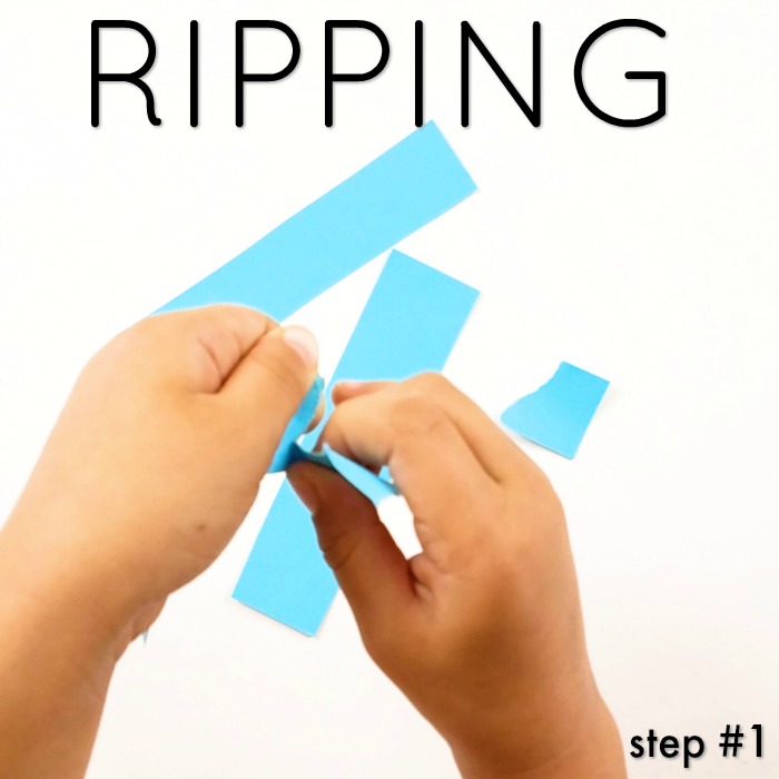 Ripping is the first step to cutting practice of preschoolers