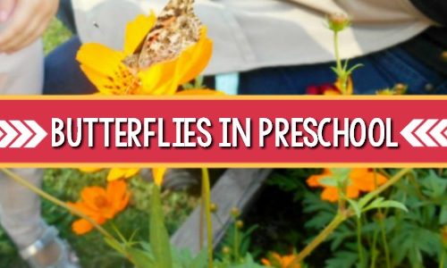 Hatching Butterflies in Preschool