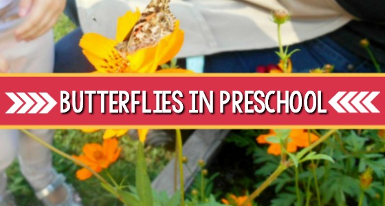 Hatching Butterflies in Preschool