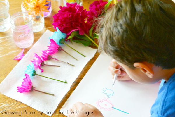 drawing flower patterns spring preschool