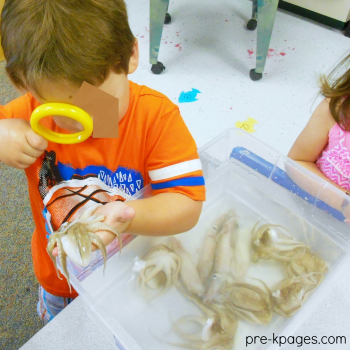 Ocean Science with Octopus in the Classroom