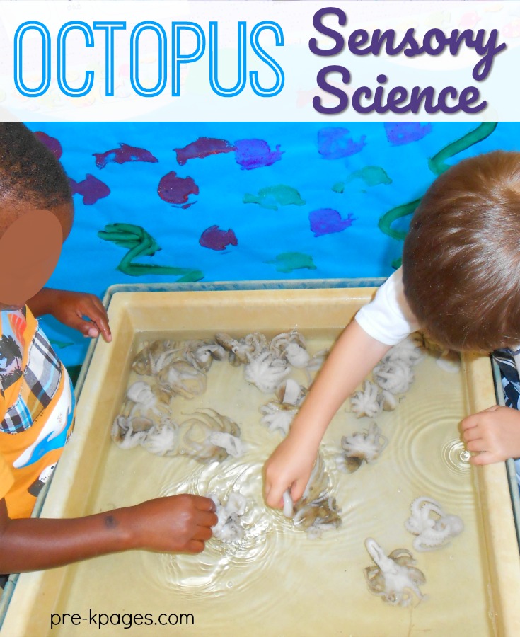 Octopus Sensory Science Experience