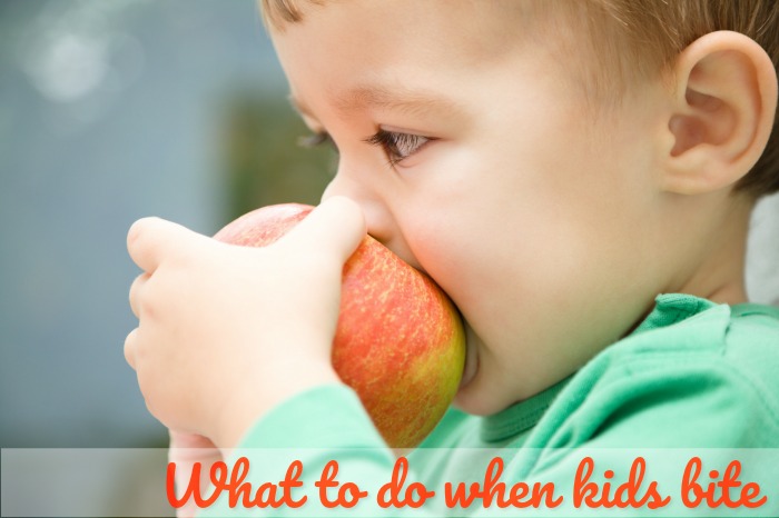 What to do when kids bite in preschool?