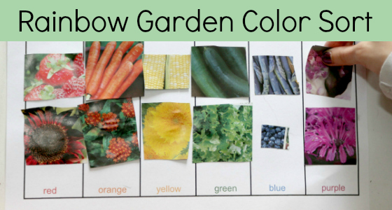 rainbow garden color sort