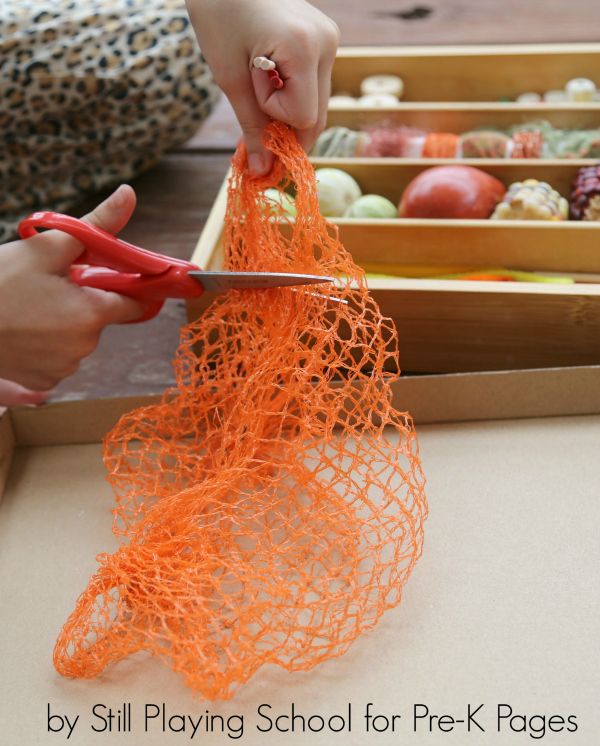 scissors cutting netting