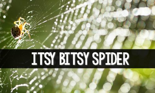 Itsy Bitsy Spider Activities for Preschool and Kindergarten