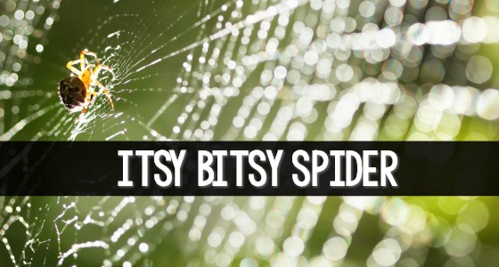 Itsy Bitsy Spider Activities for Preschool and Kindergarten