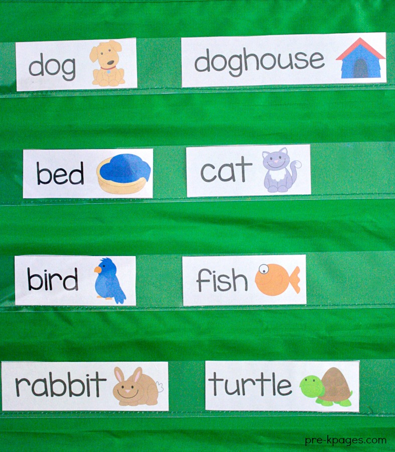 Pet Theme Printable Word Wall Cards