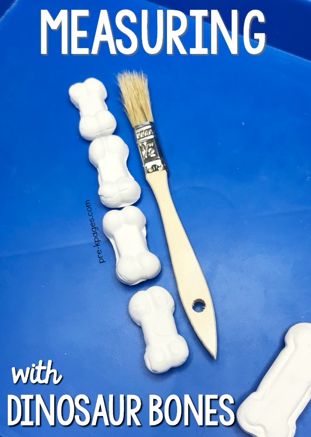 Measuring with dinosaur bones