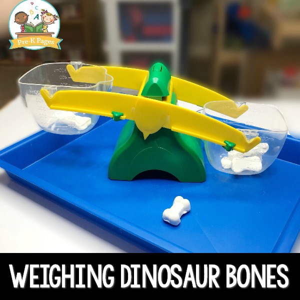 Weighing Dinosaur Bones