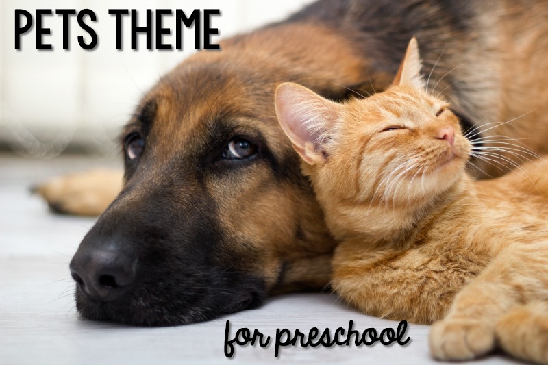 Pets Theme for Preschool
