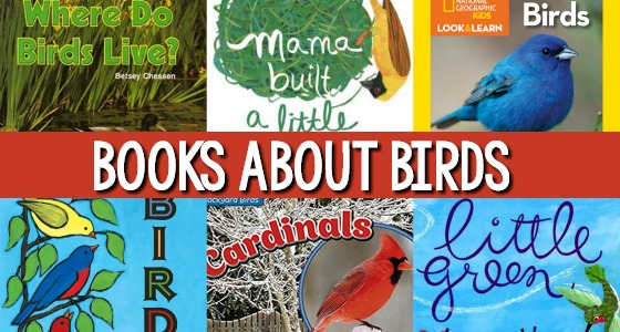 Bird Theme Books for Preschool
